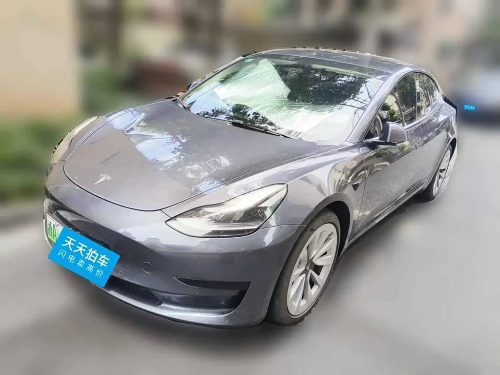Tesla Model 3 Model Rear-Wheel Drive Version