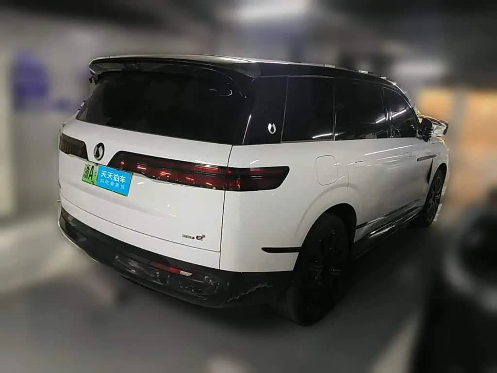 Denza N9 Flagship Model