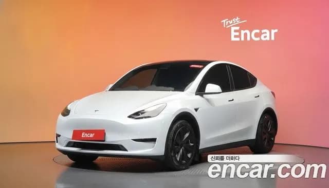 Tesla Model Y RWD