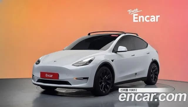 Tesla Model Y Long Range AWD