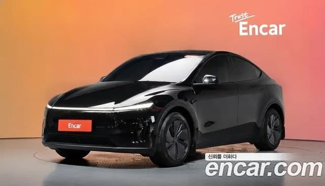 Tesla Model Y Long Range AWD