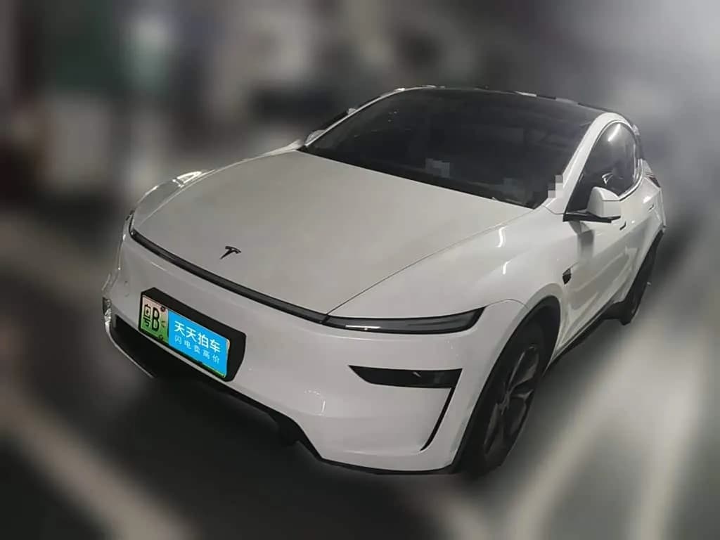 Tesla Model Y Rear-Wheel Drive
