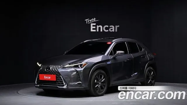 Lexus UX 2.0 2WD
