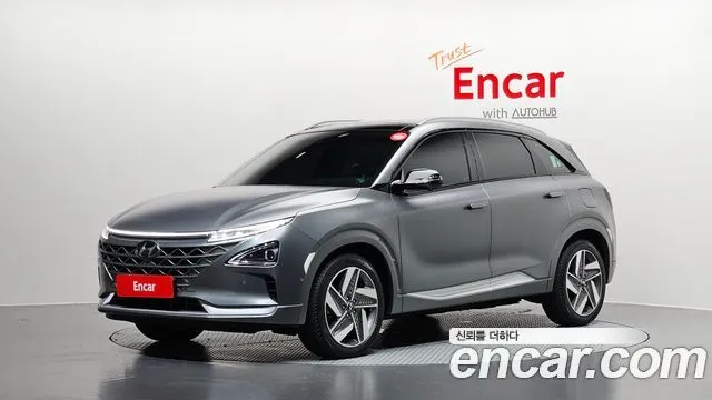 Hyundai Nexo Premium