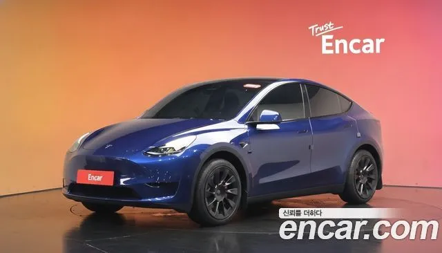 Tesla Model Y RWD