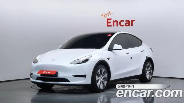 Tesla Model Y RWD