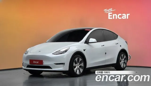Tesla Model Y Long Range AWD