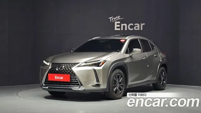 Lexus UX 2.0 2WD