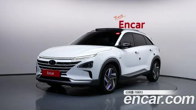 Hyundai Nexo Premium