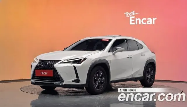 Lexus UX 2.0 2WD