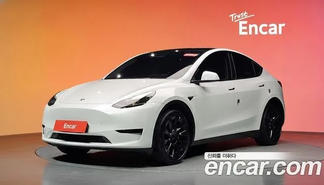 Tesla Model Y RWD