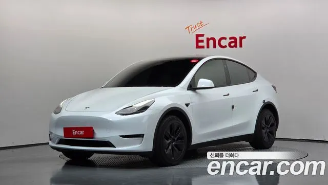 Tesla Model Y Long Range AWD
