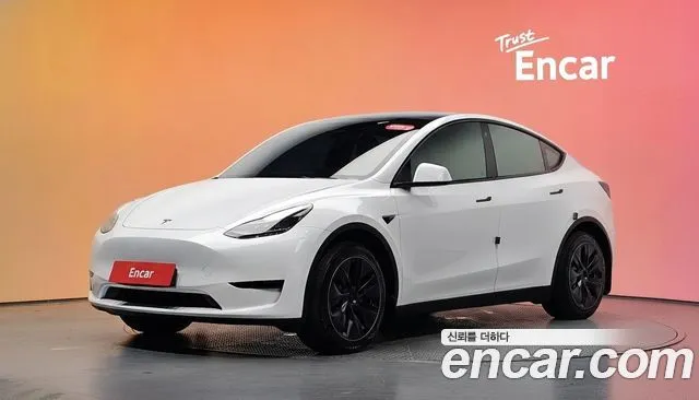 Tesla Model Y RWD