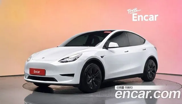 Tesla Model Y RWD