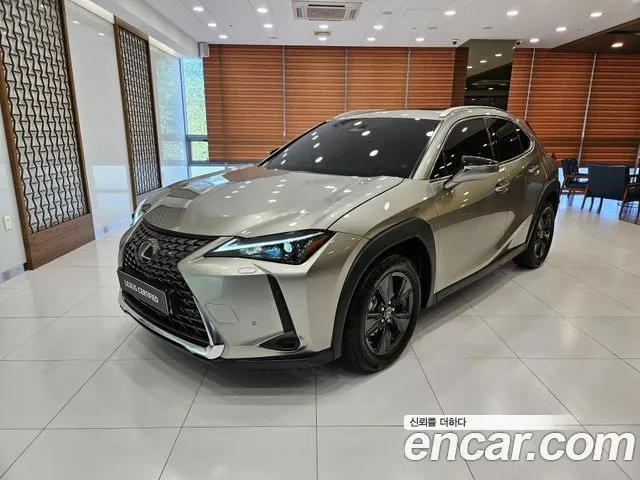 Lexus UX 2.0 2WD