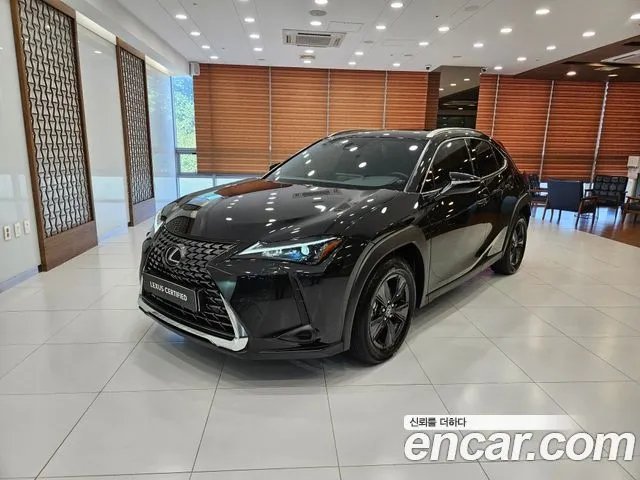 Lexus UX 2.0 2WD