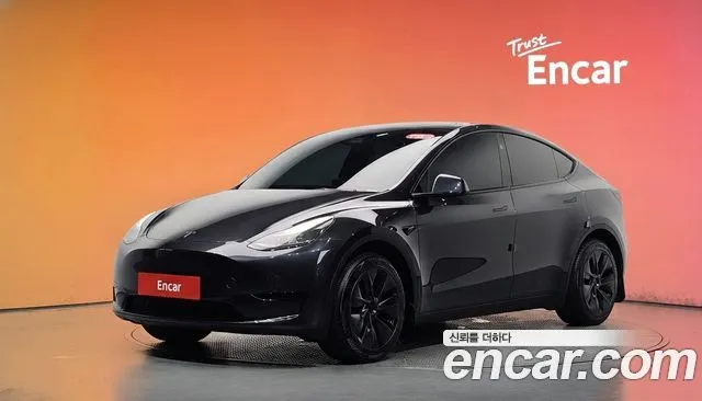 Tesla Model Y RWD