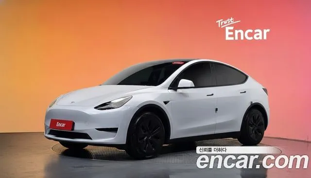 Tesla Model Y RWD