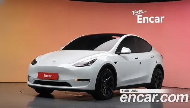Tesla Model Y Long Range AWD