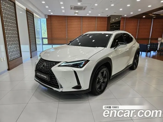 Lexus UX 2.0 2WD