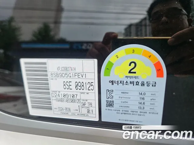 Kia Canival HEV 9 seater Prestige
