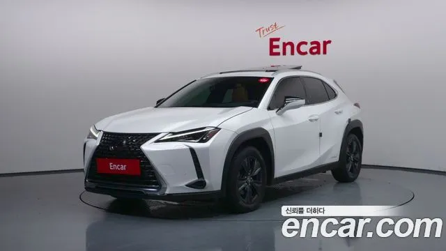 Lexus UX 2.0 2WD