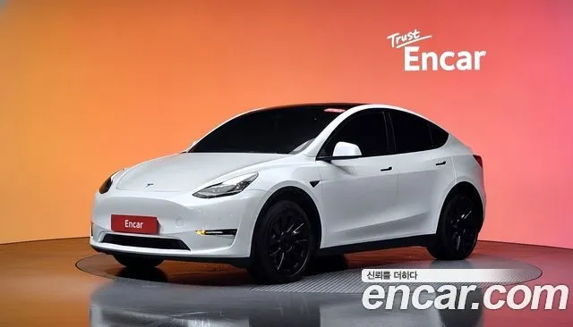 Tesla Model Y Long Range AWD