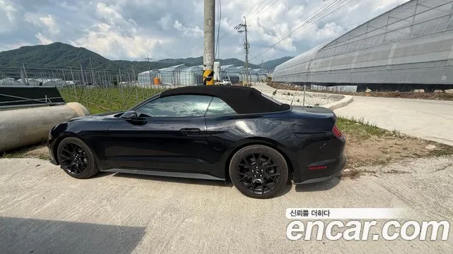 Ford Mustang Convertible