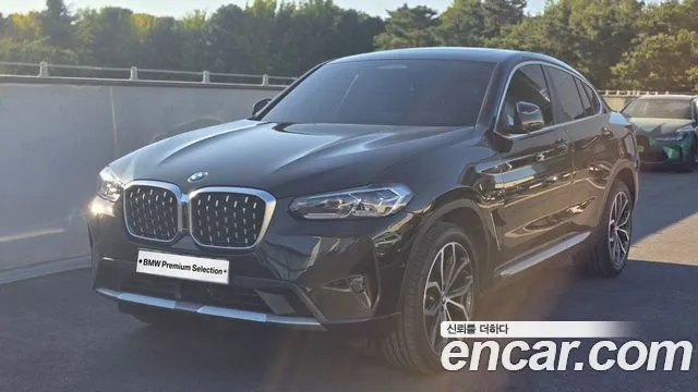 BMW X4 xDrive20i xLine