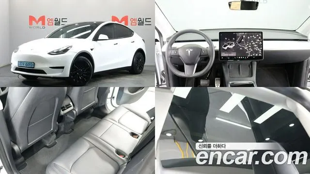 Tesla Model Y RWD