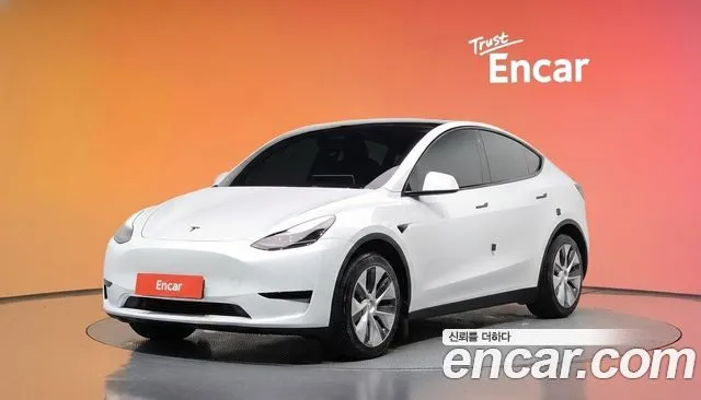 Tesla Model Y RWD