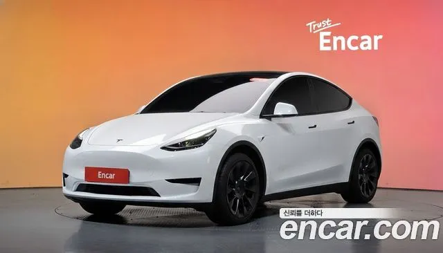Tesla Model Y RWD