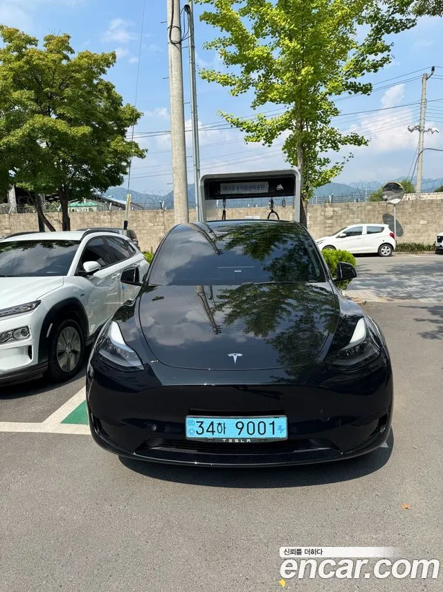 Tesla Model Y RWD