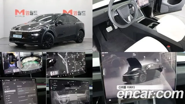 Tesla Model Y RWD