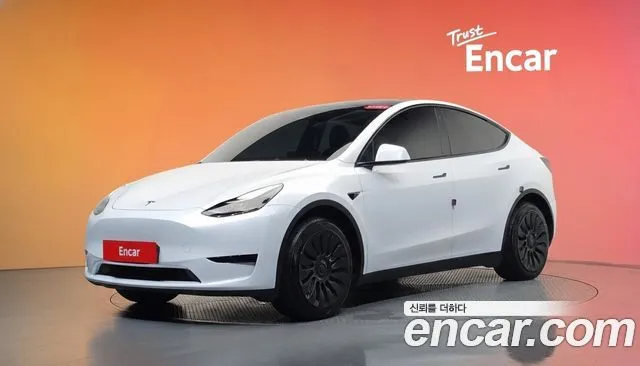 Tesla Model Y RWD