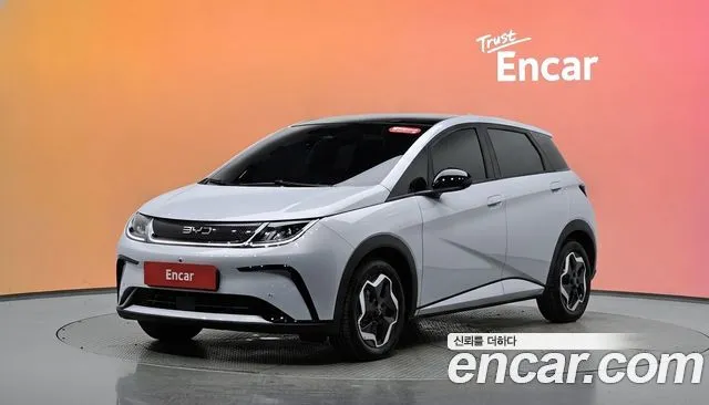 BYD Dolphin Base