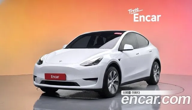 Tesla Model Y RWD