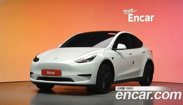 Tesla Model Y RWD