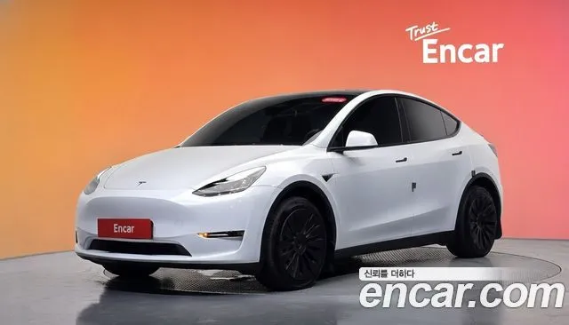 Tesla Model Y Long Range AWD