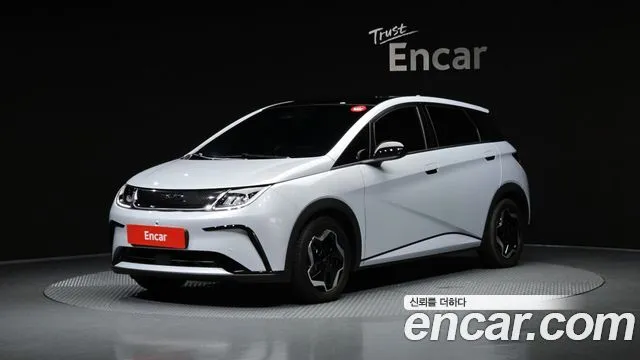 BYD Dolphin Base