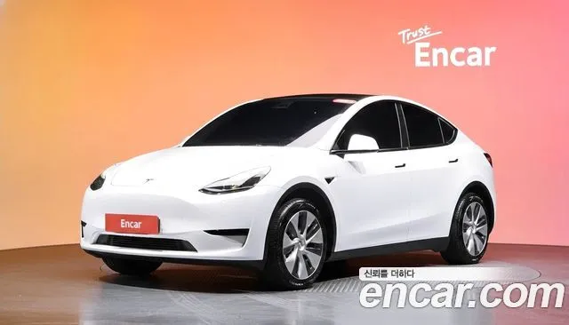 Tesla Model Y RWD