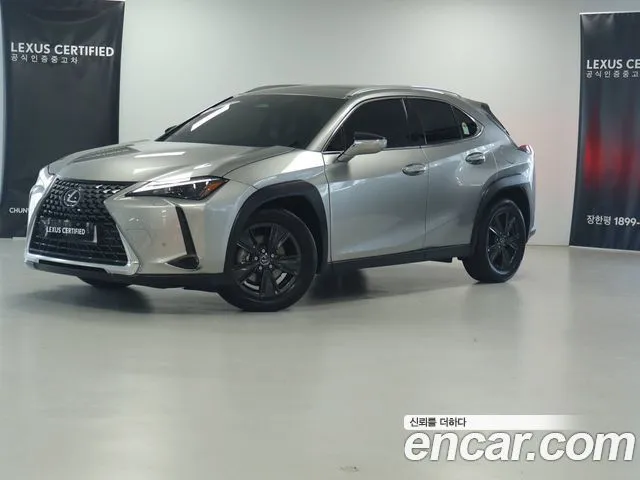 Lexus UX 2.0 2WD