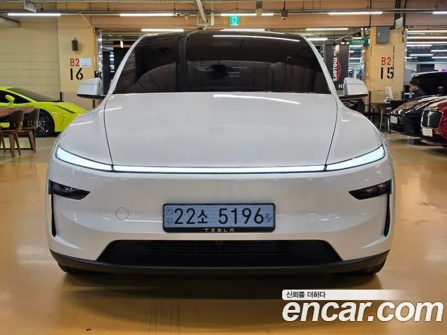 Tesla Model Y Long Range AWD