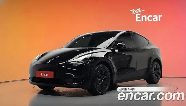 Tesla Model Y Long Range AWD