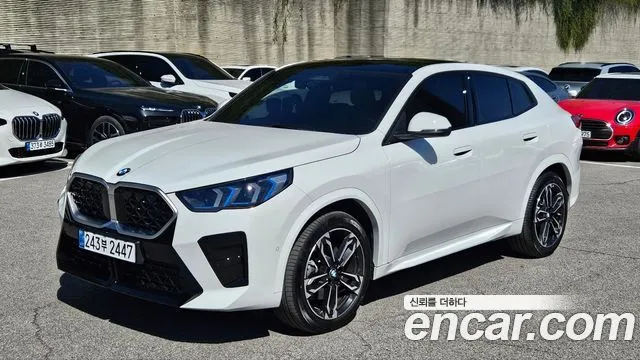 BMW X2 (F39) xDrive 20i M Sport