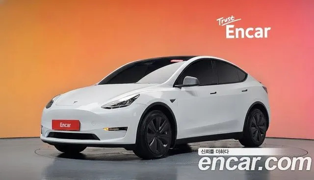 Tesla Model Y Long Range AWD