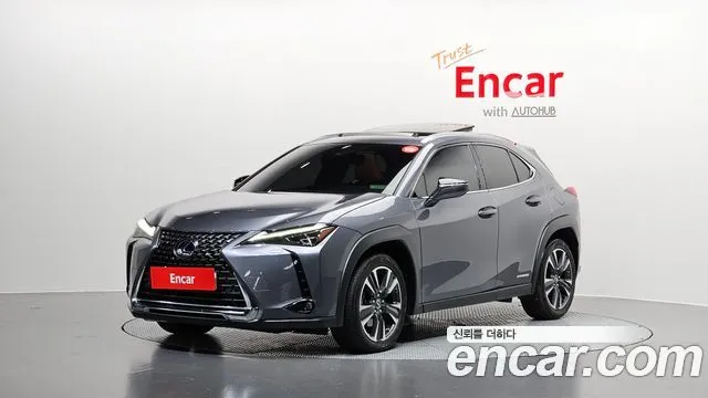 Lexus UX 2.0 AWD