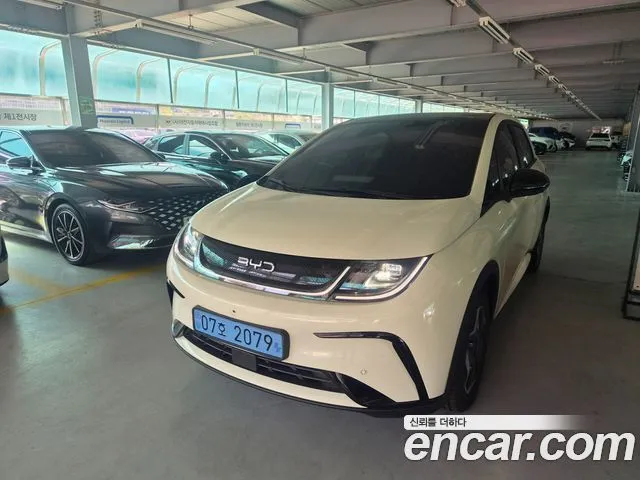 BYD Dolphin Base