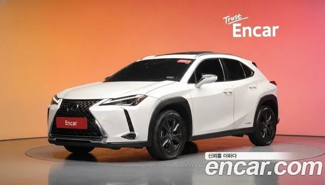 Lexus UX 2.0 2WD