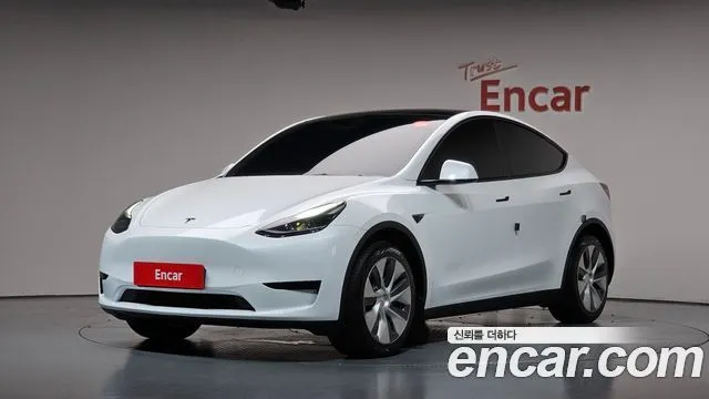 Tesla Model Y RWD